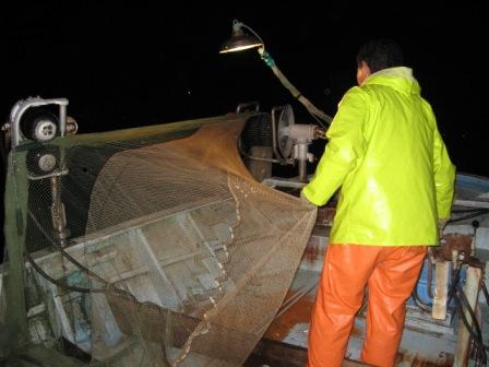 源式網と呼ばれるさし網漁業で、夜間に網揚げ作業を行ってる写真です