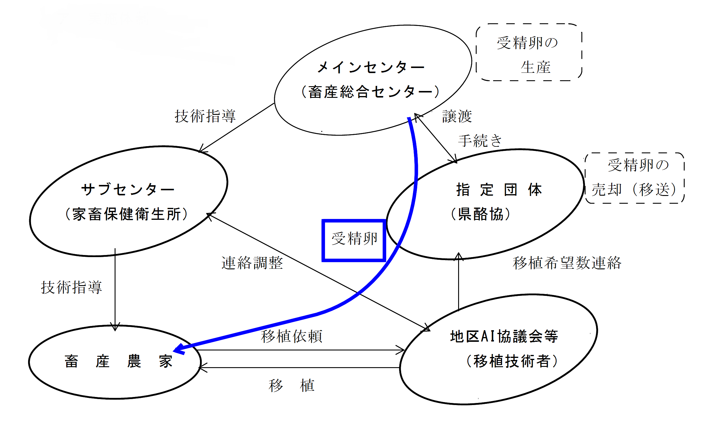 和牛受精卵事業ﾌﾛｰ図