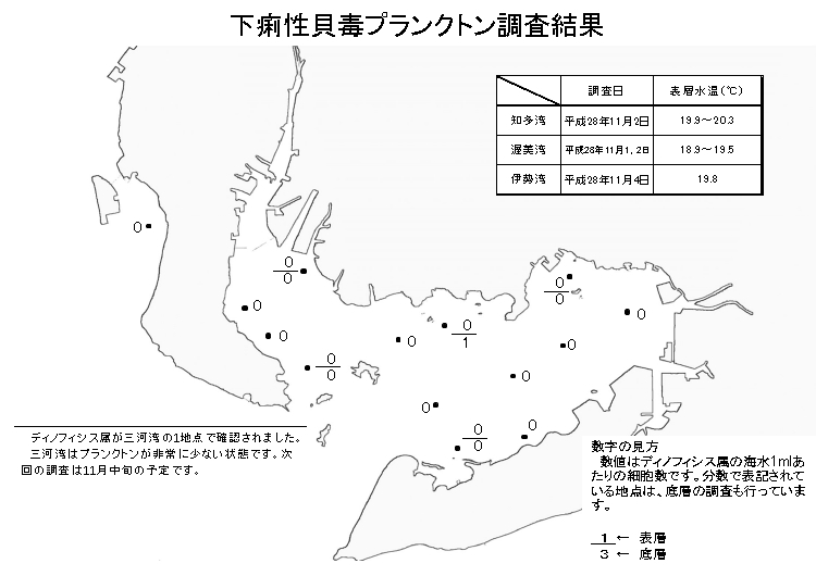 下痢性貝毒プランクトン調査結果20161104