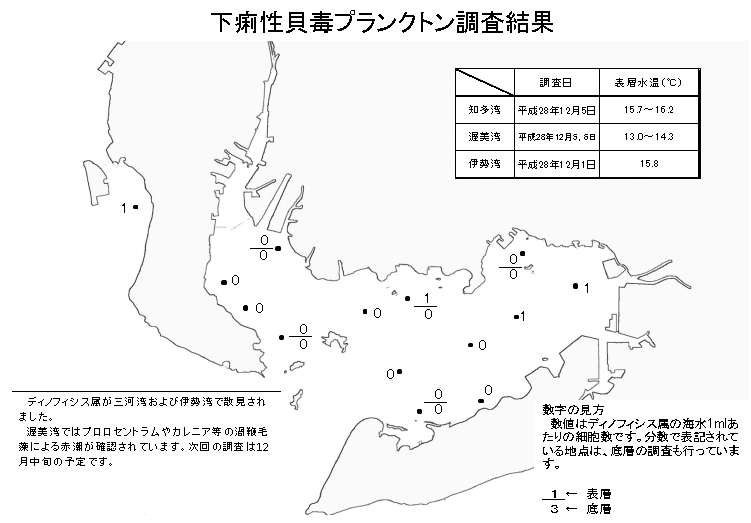 下痢性貝毒プランクトン調査結果20161206