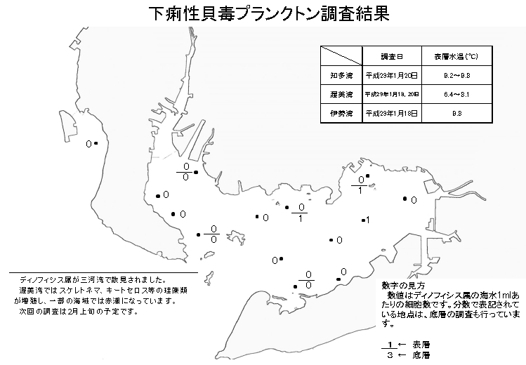 下痢性貝毒プランクトン調査結果20170125