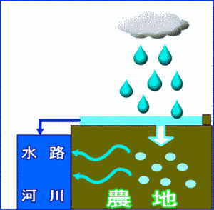 農地に降った雨が水路等へ流れる様子