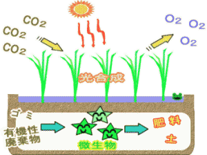 農地が環境を保全する様子