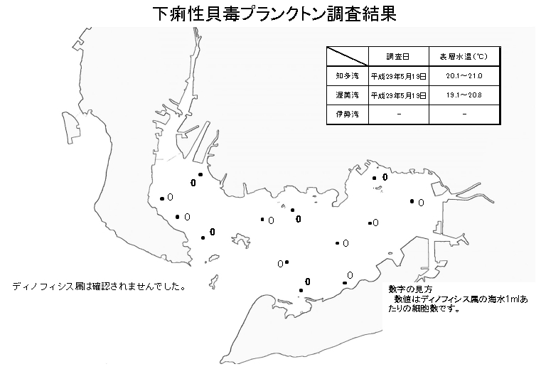 下痢性貝毒プランクトン調査結果20170519