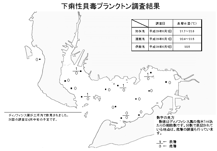 下痢性貝毒プランクトン調査結果20170605