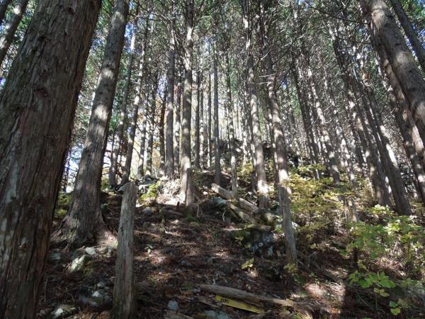 急な山道