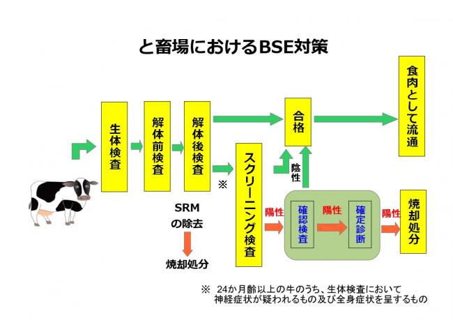 と畜場におけるBSE対策