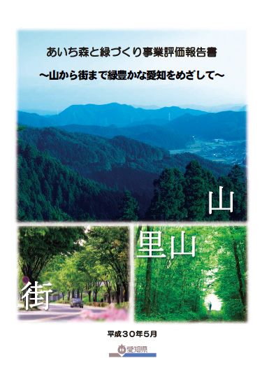 事業評価報告書(表紙)