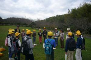 知多地域みどりの少年団交歓会（知多市旭公園にて自然観察）