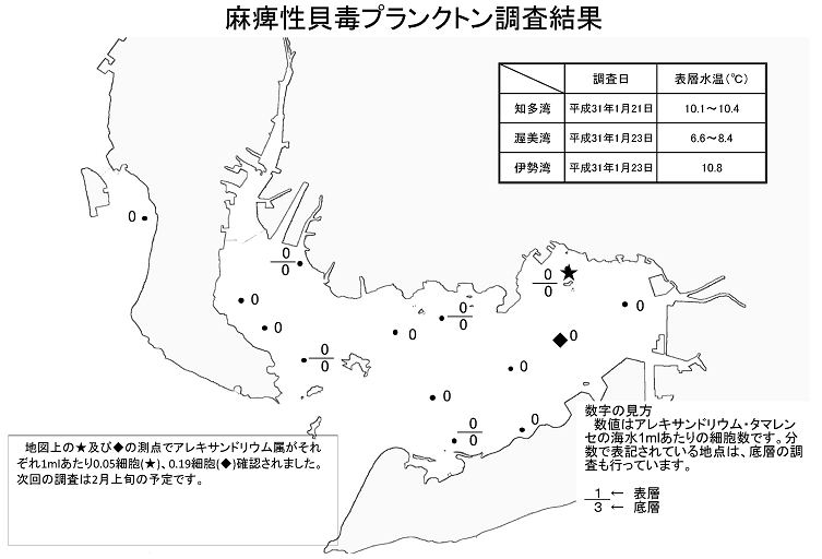 麻痺性貝毒プランクトン調査結果20190123