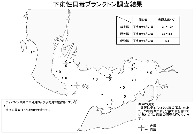 下痢性貝毒プランクトン調査結果20190123