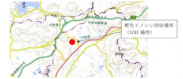 発見場所の位置図