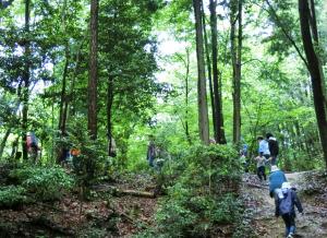 里山林