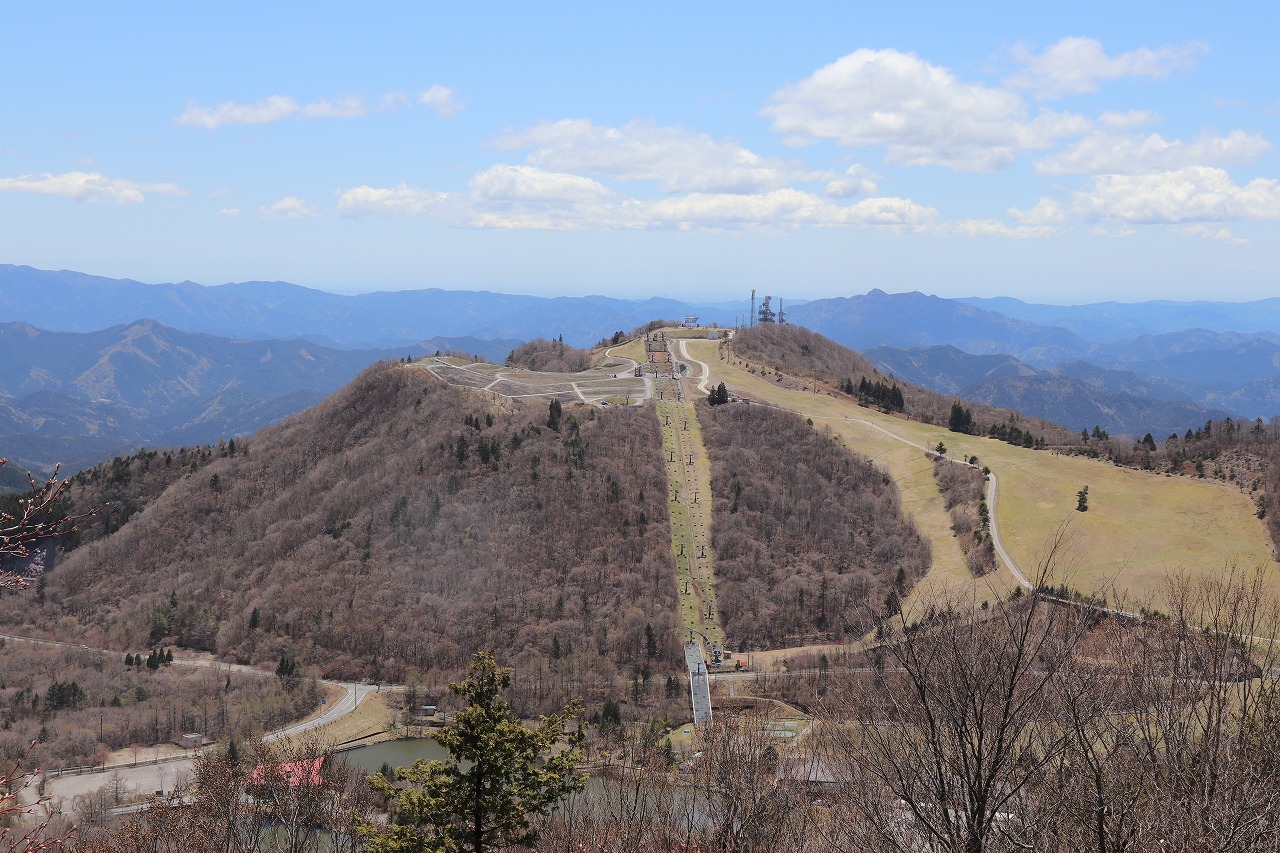 展望台からの景色