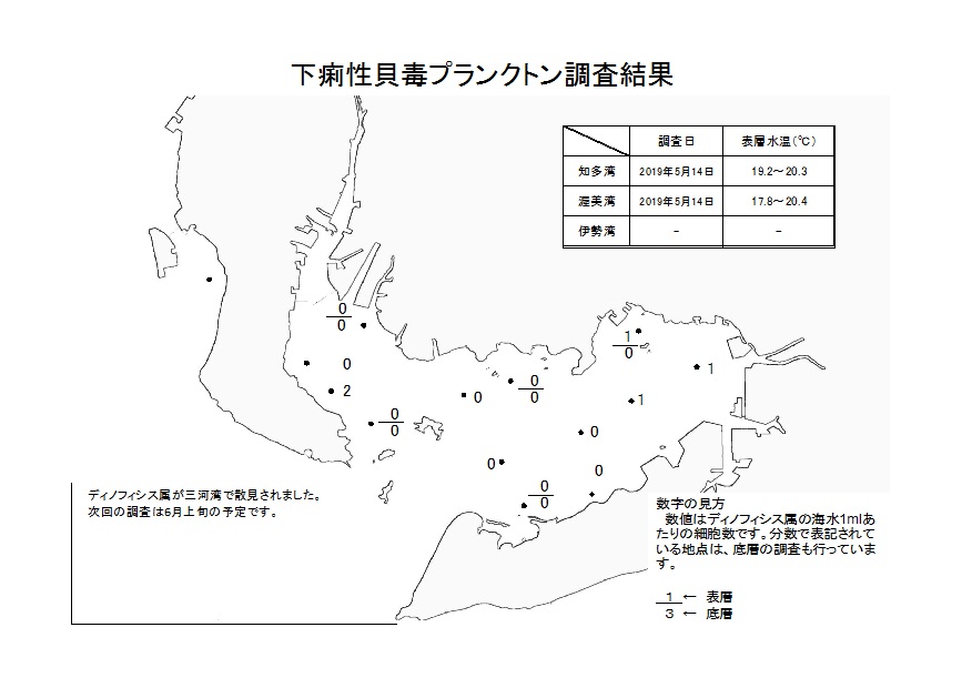 下痢性貝毒プランクトン調査結果20190515