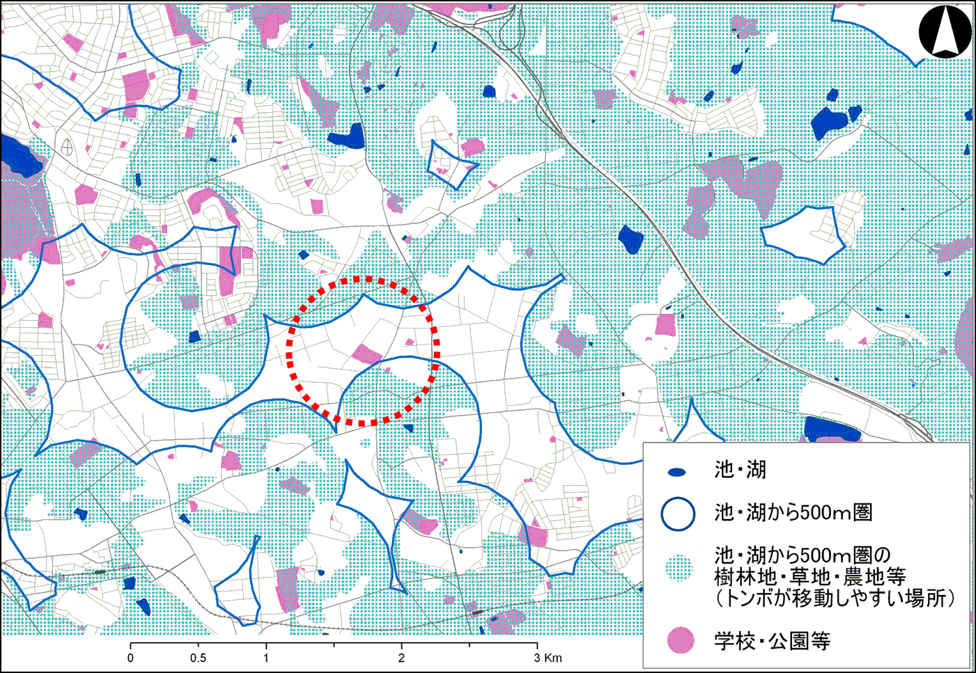 学校や公園を使ってイトトンボをつくる