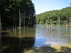 東部丘陵画像