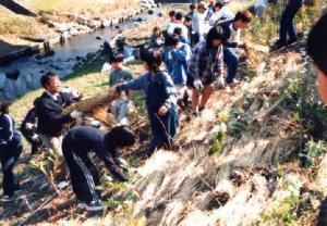 植樹作業　朝倉川（豊橋市）