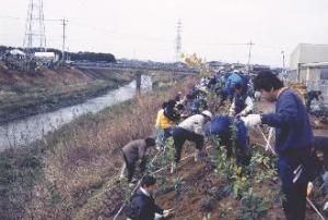 植樹作業　逢妻女川（豊田市）