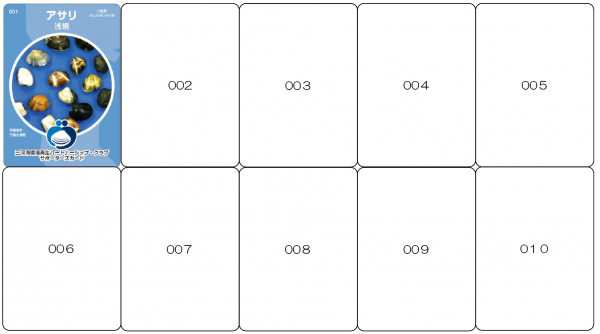 カード10枚