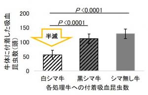 付着吸血昆虫数のグラフ