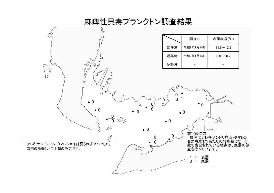 麻痺性貝毒プランクトン調査結果20200116