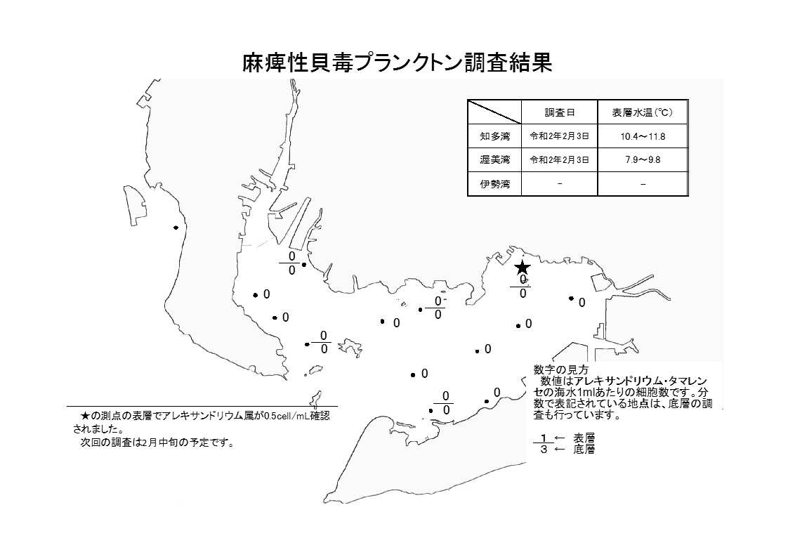 麻痺性貝毒プランクトン調査結果20200203