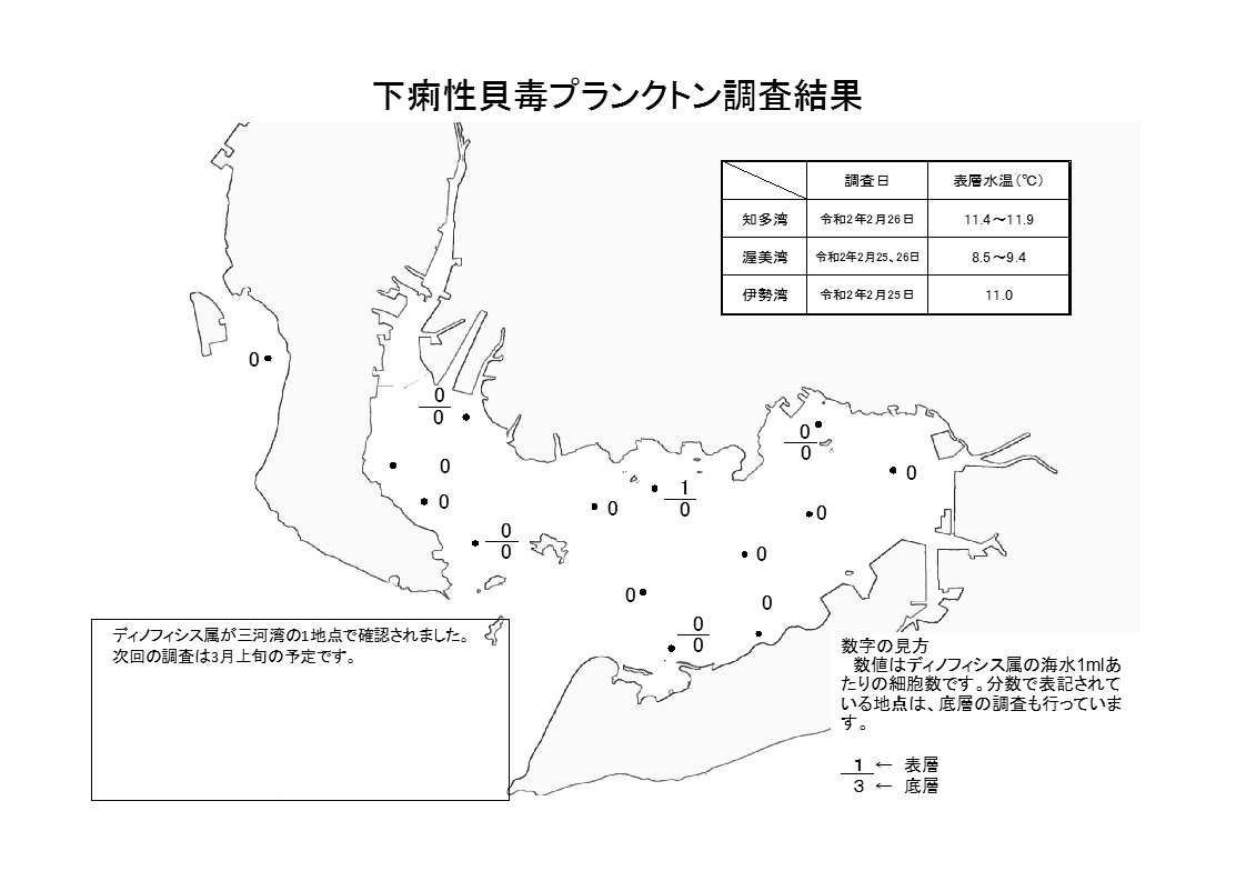 下痢性貝毒プランクトン調査結果20200225