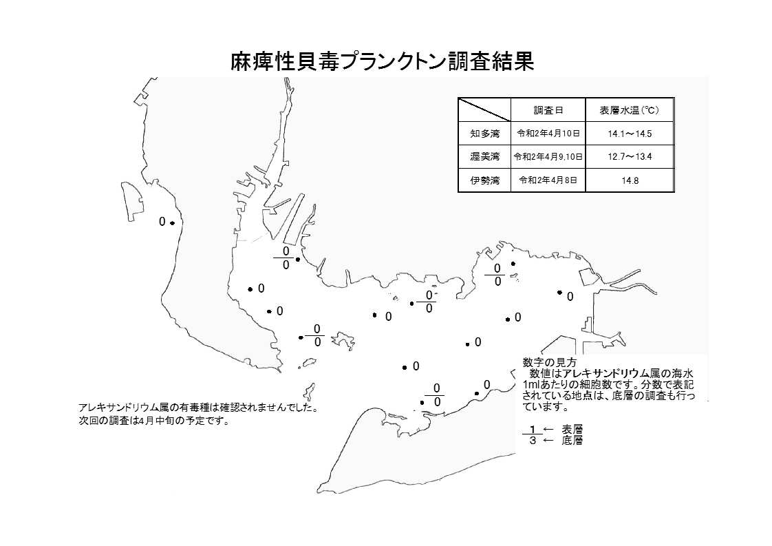 麻痺性貝毒プランクトン調査結果20200413