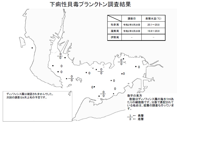 下痢性貝毒プランクトン調査結果20200520