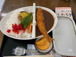 ダムカレー