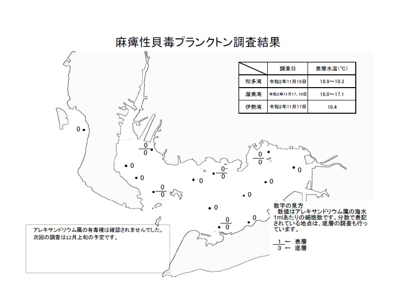 麻痺性貝毒プランクトン調査結果20201117