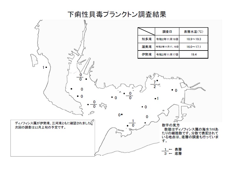 下痢性貝毒プランクトン調査結果20201117