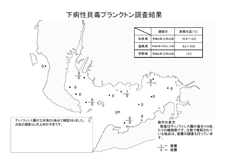 下痢性貝毒プランクトン調査結果20201222