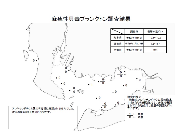 麻痺性貝毒プランクトン調査結果20210104