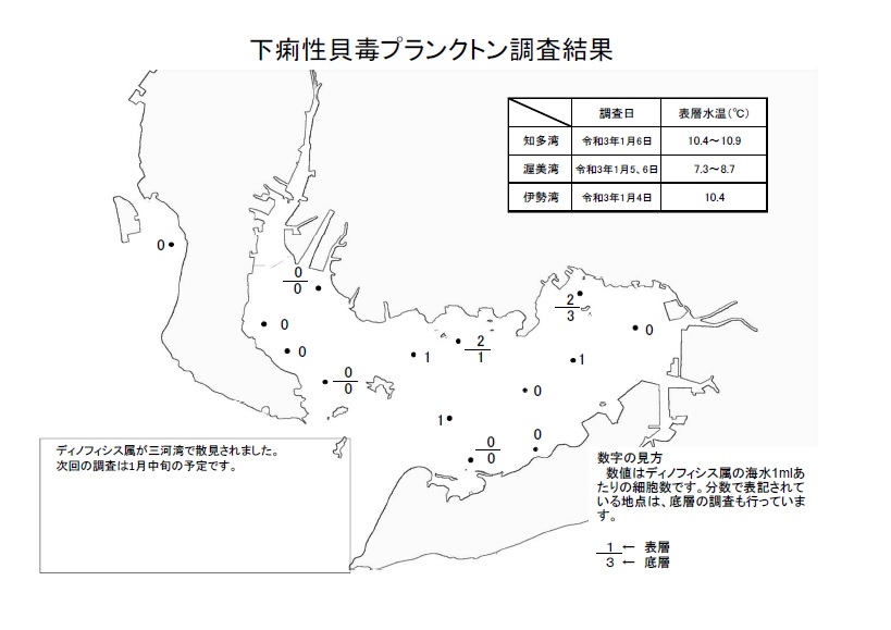 下痢性貝毒プランクトン調査結果20210104