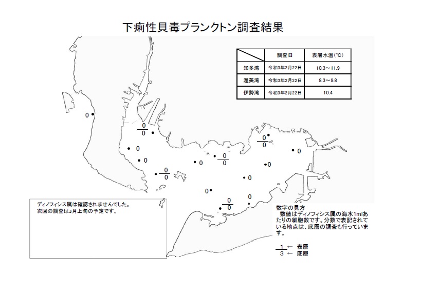 下痢性貝毒プランクトン調査結果20210222