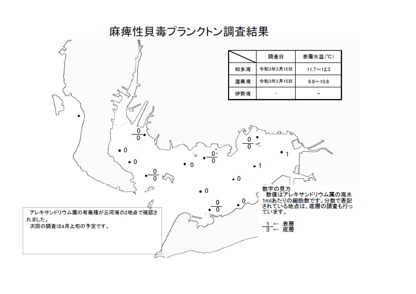 麻痺性貝毒プランクトン調査結果20210315