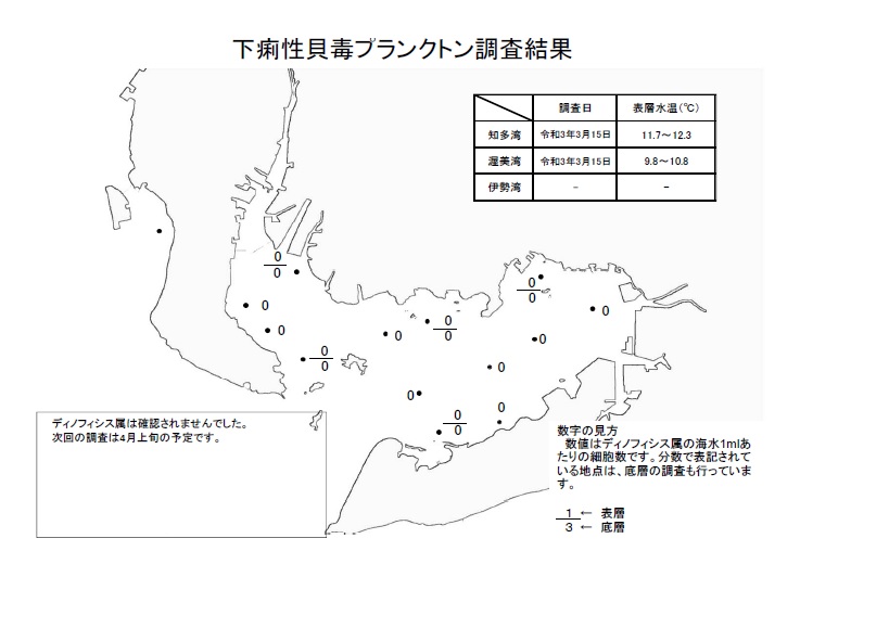 下痢性貝毒プランクトン調査結果20210315