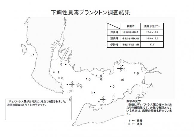 下痢性貝毒プランクトン調査結果2021.05.06-12