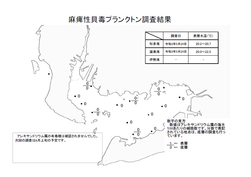 麻痺性貝毒プランクトン調査結果20210504