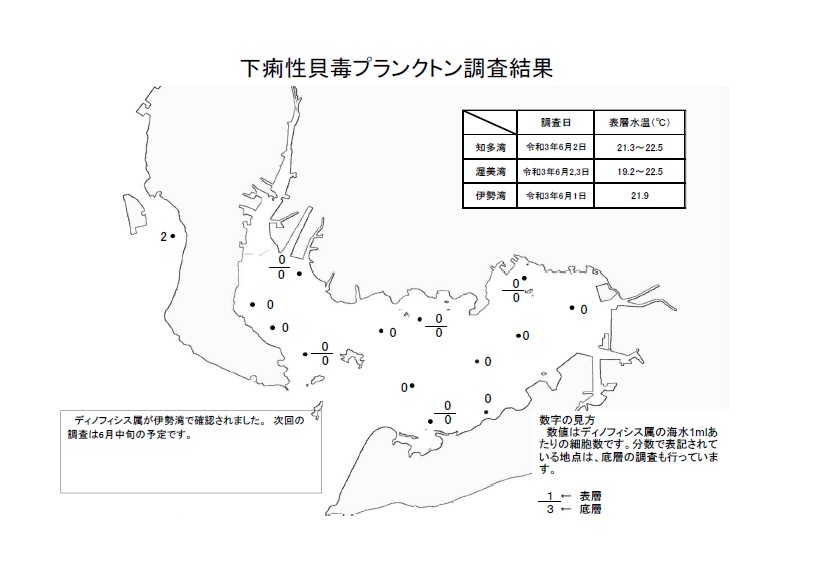 下痢性貝毒プランクトン調査結果20210601-03