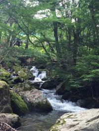 山の大自然夏休みは川遊びで大満喫