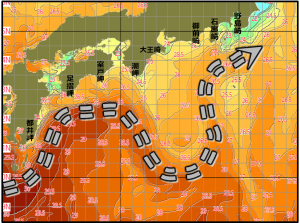 黒潮流路