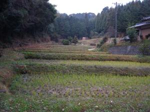 山村地域の洞