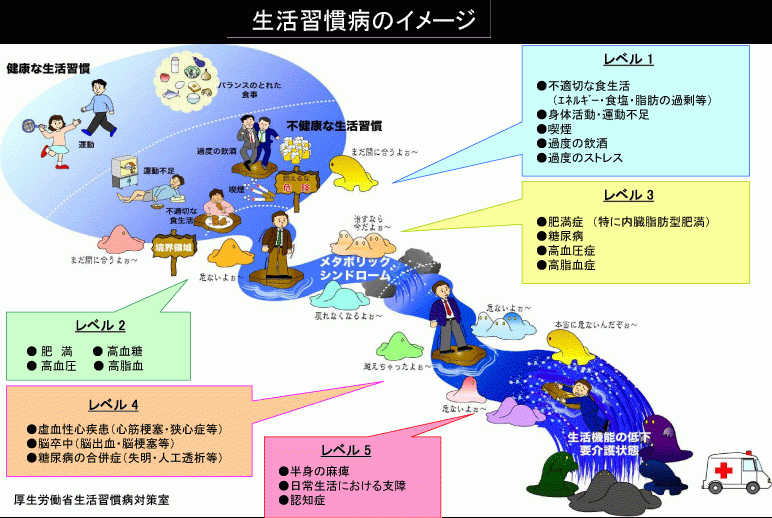 生活習慣病予防について