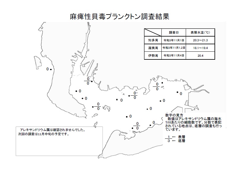 麻痺性貝毒プランクトン調査結果20211101～04