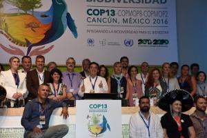 ＣＯＰ１３の第５回生物多様性「国際自治体会議」で共同声明を発信しました