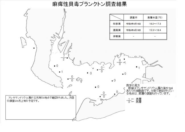 麻痺性貝毒プランクトン調査結果20220419