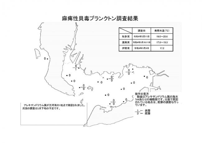 麻痺性貝毒プランクトン調査結果20220509